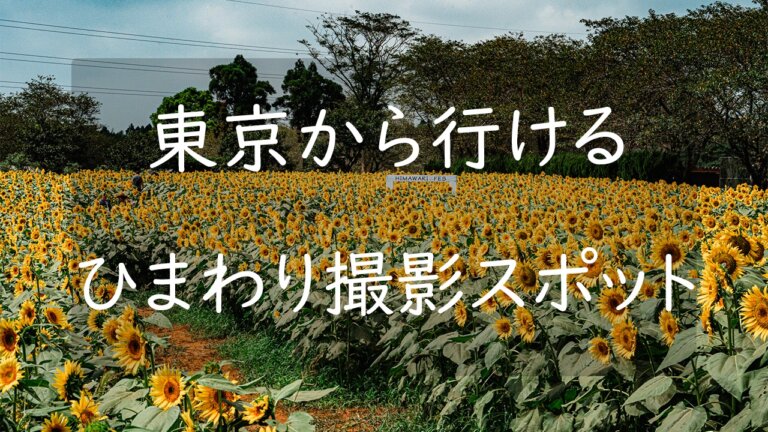 21年版 東京都内から行ける関東のひまわり撮影場所まとめ5選 Camerife