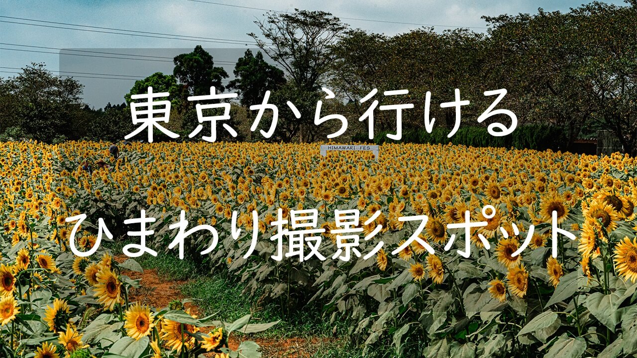 22年版 東京都内から行ける関東のひまわりが咲く場所まとめ5選 Camerife