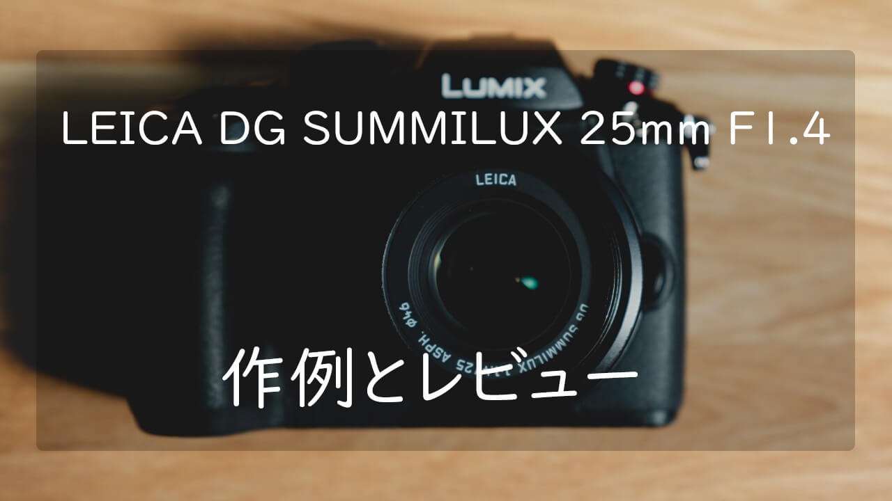 【作例あり】LEICA DG SUMMILUX 25mm F1.4 II レビュー | CameRife